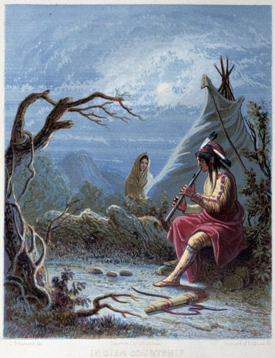 Indiano che suona un flauto - in "The iris: an illuminated souvenir for 1802", disegnato da Capt Eastman, ed. Hart, Philadelphia da Captain Seth (after) Eastman