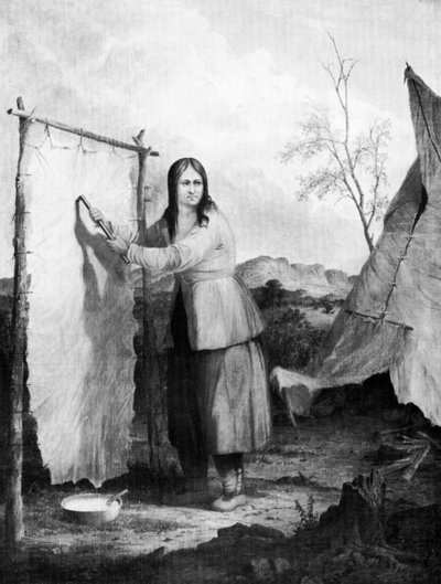 Donna indiana che prepara una pelle di cervo, 1868 da Captain Seth Eastman
