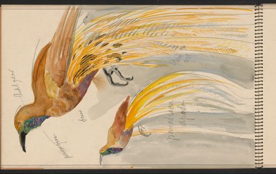 da Carel Adolph Lion Cachet