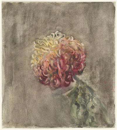 Crisantemo rosso da Carel Adolph Lion Cachet