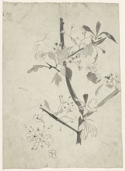 Ramo con fiori da Carel Adolph Lion Cachet