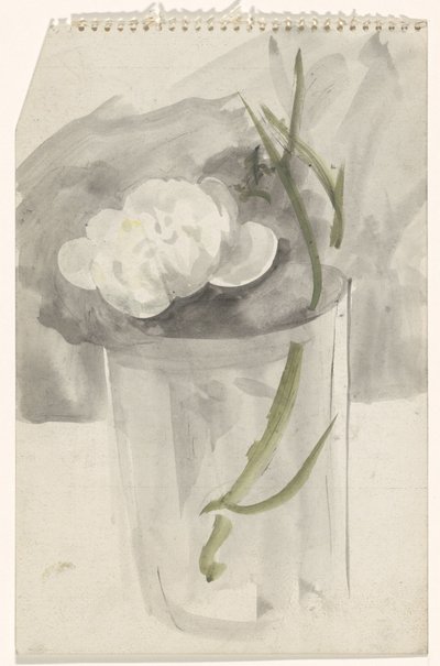Fiore bianco in un bicchiere da Carel Adolph Lion Cachet