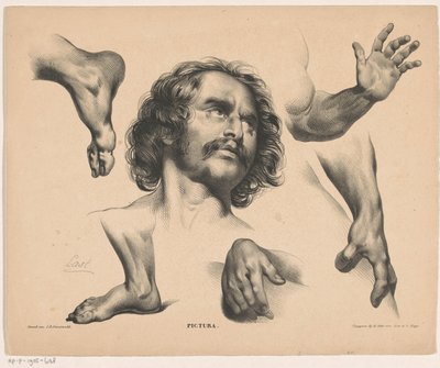 Testa di un uomo, piedi, mani e braccia da Carel Christiaan Antony Last