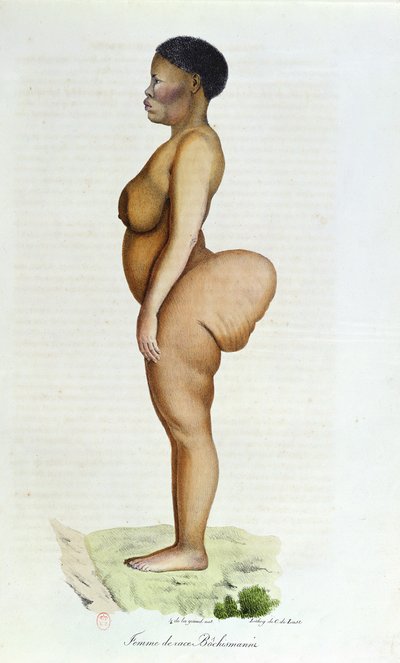 La Venere Ottentotta, donna Boscimana, da 