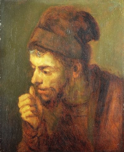 Testa di un uomo da Carel Fabritius