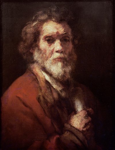 Testa di un vecchio, c.1650 da Carel Fabritius