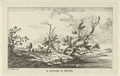 Cavaliere in un paesaggio da Carel Lodewijk Hansen