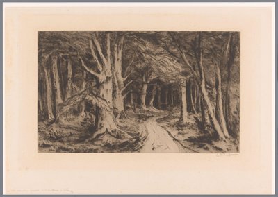 Bordo del bosco con sentiero da Carel Nicolaas Storm van 