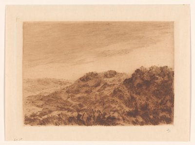 Paesaggio dunale vicino a L