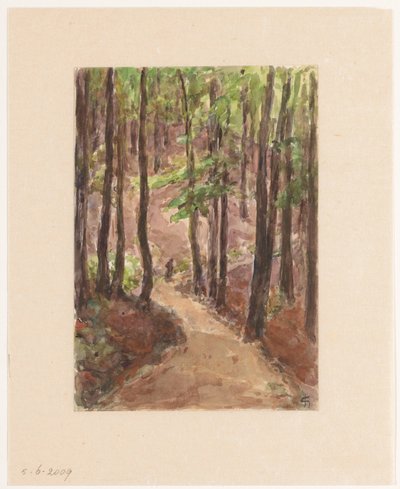 Strada forestale attraverso le colline a Baden-Baden da Carel Nicolaas Storm van 