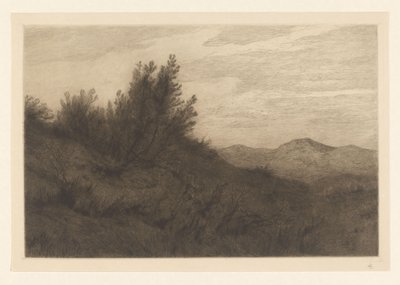Paesaggio dunale da Carel Nicolaas Storm van 