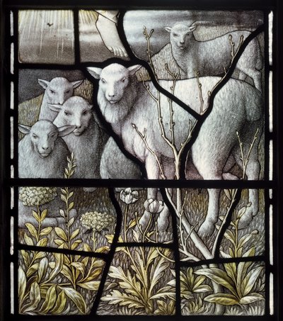La Chiesa dei Pastori, Pastorizia, Pecore da Carl Almquist