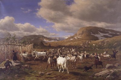 Un branco di renne viene condotto al luogo di mungitura. Motivo dalle alte montagne a nord di Røros da Carl Bøgh