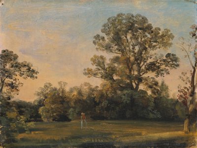Paesaggio boschivo con castello sull