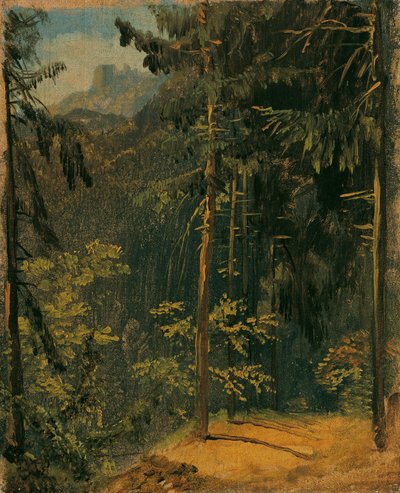 Sentiero nel bosco nell