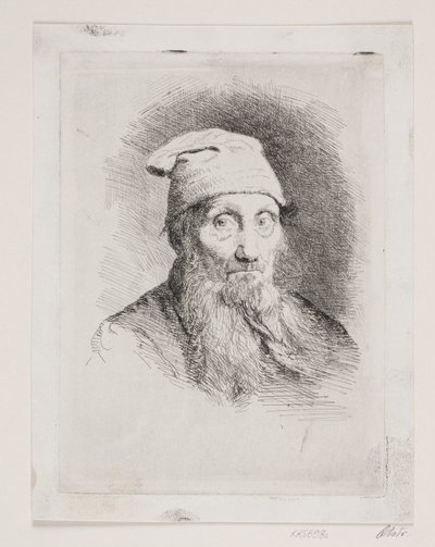 Un vecchio con cappello. Ritratto a mezzo busto da Carl Bloch