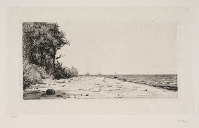 Dalla costa settentrionale della Zelanda. Piantagione di Hornbæk da Carl Bloch