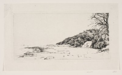 La scogliera sul mare da Carl Bloch