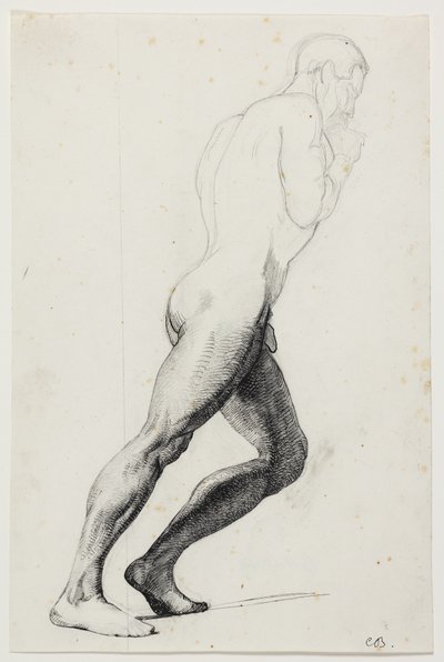 Studio per la gamba di Sansone per il dipinto del museo "Sansone tra i Filistei" (kms830) da Carl Bloch