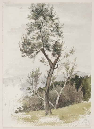 Alberi su un pendio di montagna da Carl Bloch