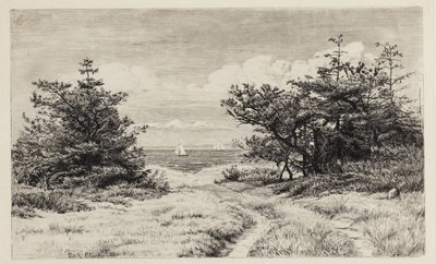 Vista sul mare da Carl Bloch