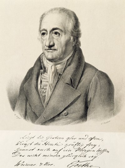 Ritratto di Johann Wolfgang von Goethe da Carl Christian Vogel von Vogelstein