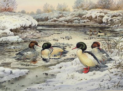 Smerghi da Carl Donner