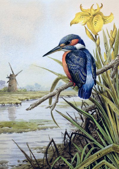 Martin pescatore con iris e mulino a vento da Carl Donner