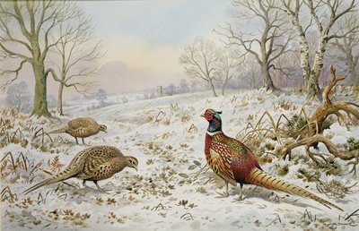 Fagiano e pernici in un paesaggio innevato da Carl Donner