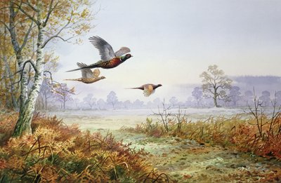 Fagiani in volo da Carl Donner
