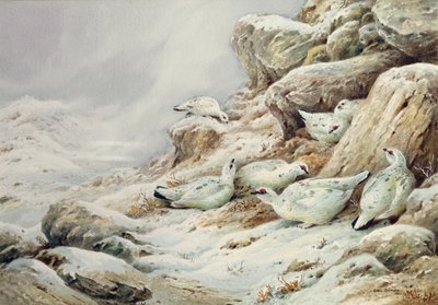 Pernice bianca in un paesaggio innevato da Carl Donner