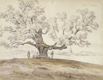 Veduta di Wolfershausen bei Meiningen con una vecchia quercia, 1844 da Carl Ernst Ludwig Wagner