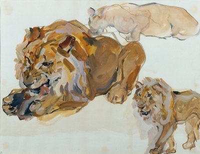 Studio sugli animali di Schönbrunn da Carl Fahringer