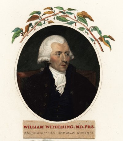 Ritratto di William Withering, medico e botanico da Carl Frederik van (after) Breda