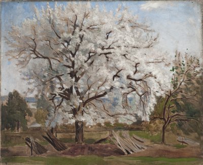 Melo in Fiore da Carl Fredrik Hill