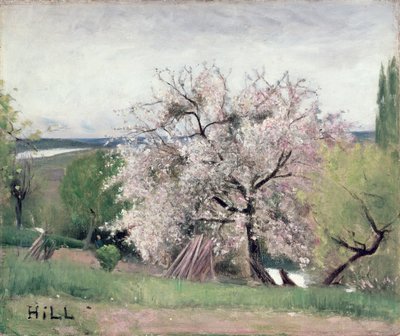 Albero da frutto in fiore, Bois-le-Roi da Carl Fredrik Hill