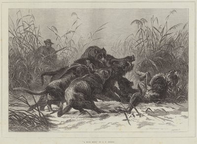 Caccia al cinghiale da Carl Friedrich Deiker