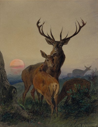 Un cervo con un daino in un paesaggio boscoso al tramonto da Carl Friedrich Deiker