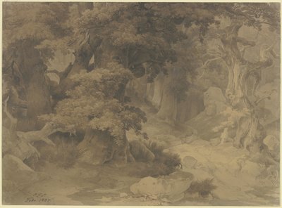  da Carl Friedrich Lessing
