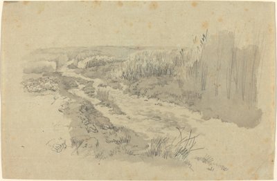 Un Sentiero tra i Campi vicino a Lipsia da Carl Gustav Carus