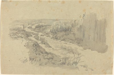 Un sentiero tra i campi vicino a Lipsia da Carl Gustav Carus