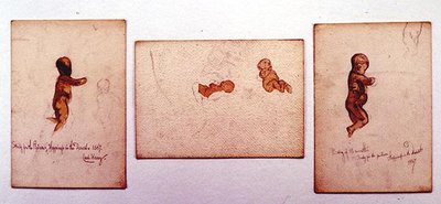 Studio di un bambino per 