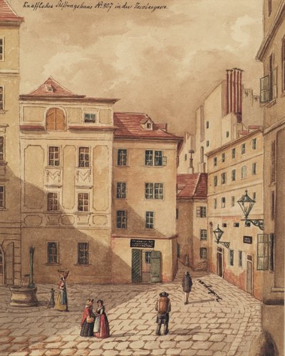 La casa della fondazione Knaffel in Jacobergasse n. 807 a Vienna da Carl L. Wiesböck