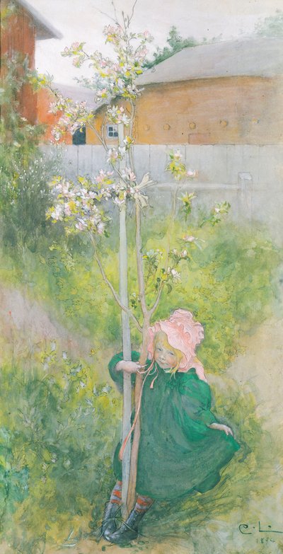 Fioritura di melo, 1894 da Carl Larsson