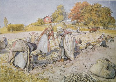 Scavando patate da Carl Larsson