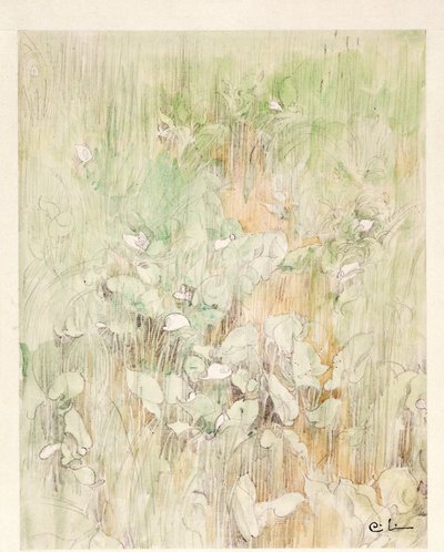 Kallor da Carl Larsson