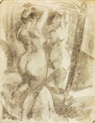 Nudo femminile davanti allo specchio da Carl Newman