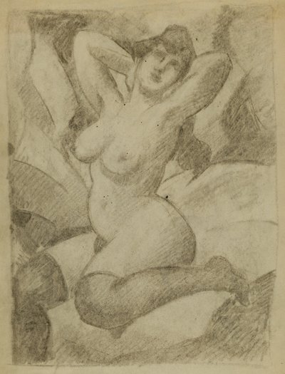 Nudo femminile con calze nere da Carl Newman
