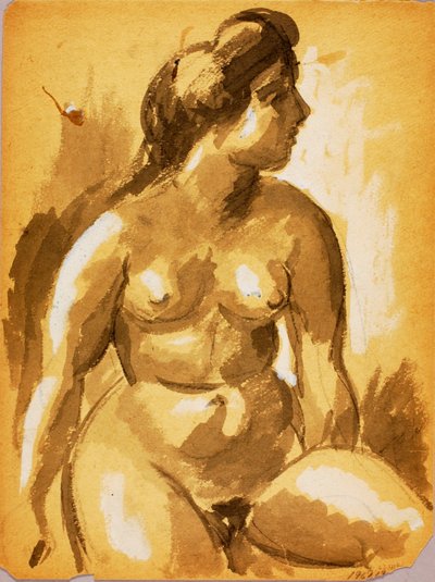 Nudo femminile seduto da Carl Newman