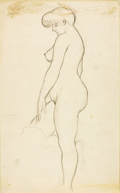 Nudo femminile in piedi da Carl Newman